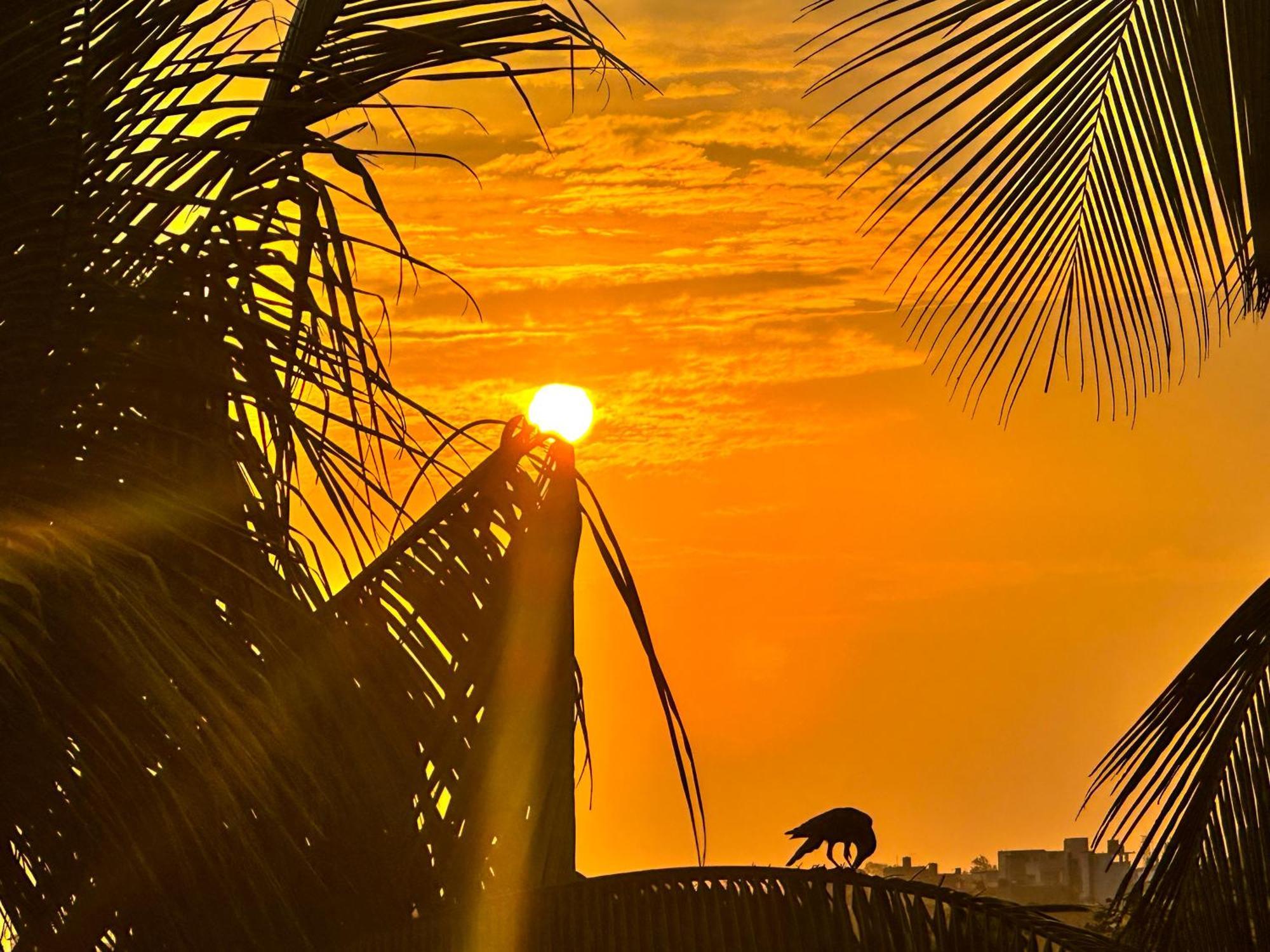 New Panda House Galle Exterior foto